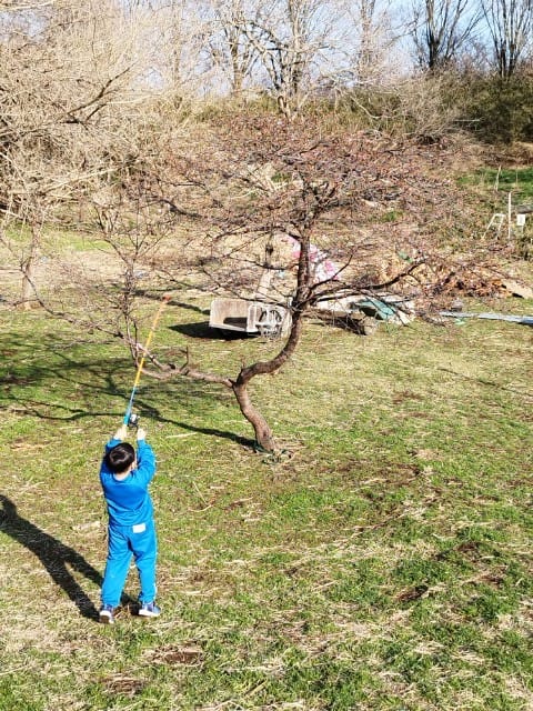 1人、釣り竿、木の画像のようです